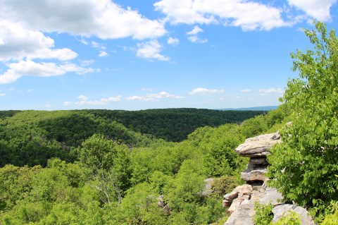 The Trail Near Pittsburgh That Will Lead You On An Adventure Like No Other