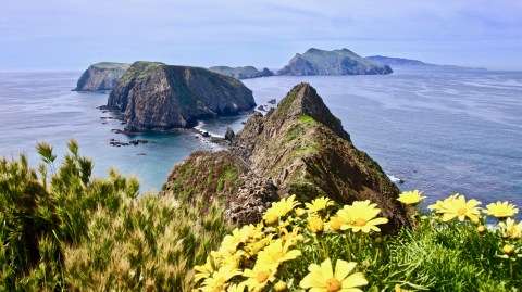 These Remote Islands Are The Galapagos Of The U.S. And Are Downright Magical