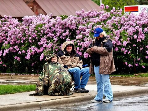 The Lilac Festival In Illinois That’s Unlike Any Other