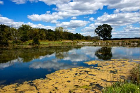 8 Lesser-Known State Parks In Indiana That Will Absolutely Amaze You