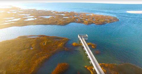 This Beautiful Boardwalk Trail In Massachusetts Is The Most Unique Hike Around