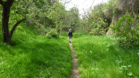 Some People Call This Canyon Park In Southern California A Little Slice Of Paradise