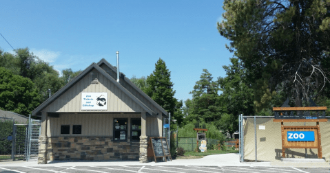 Most People Don't Know About This Underrated Zoo Hiding In Northern Utah