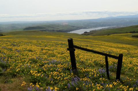 9 Lesser-Known State Parks In Washington That Will Absolutely Amaze You