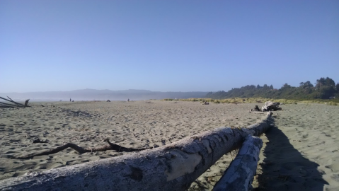 You'll Love This Secluded Northern California Beach With Miles And Miles Of White Sand