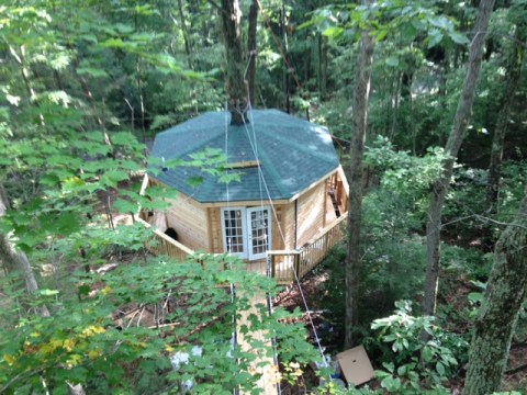 This Treehouse Resort In West Virginia May Just Be Your New Favorite Destination