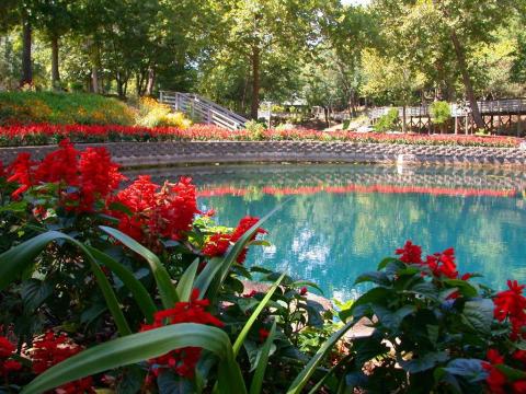 This Secluded Lagoon Might Just Be The Most Tranquil Spot In All Of Arkansas