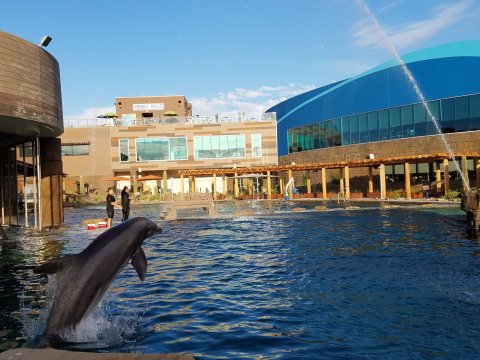 Most People In Arizona Don't Know About This Magical Zooquarium Hiding In Plain Sight