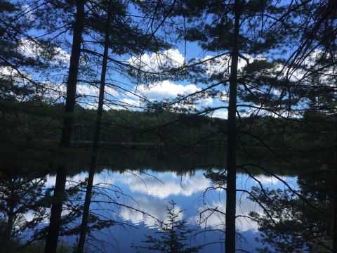 This Underrated Trail In Wisconsin Leads To A Hidden Turquoise Lake