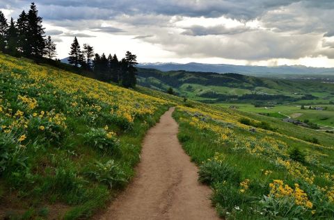 The Easy Trail In Montana That Will Take You To The Top Of The World