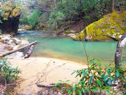 The Hike To This Gorgeous Kentucky Swimming Hole Is Everything You Could Imagine