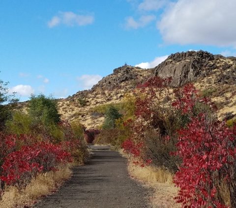 4 Little Known Canyons That Will Show You A Side Of Washington You’ve Never Seen Before