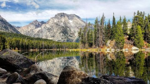 This Easy Wildflower Hike In Wyoming Will Transport You Into A Sea Of Color