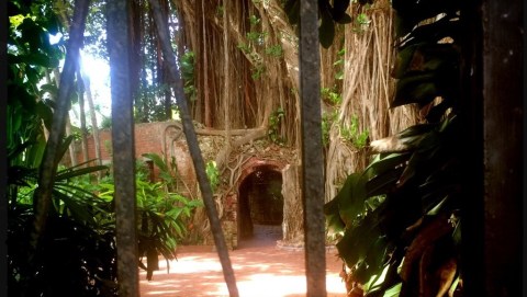 There's A Hike In Florida That Leads You Straight To An Abandoned Civil War Fort