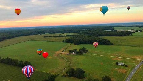 Spend The Day At This Hot Air Balloon Festival In Maryland For A Uniquely Colorful Experience