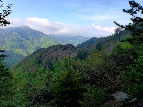 The One Unique Cave Trail That's Full Of Beauty And Mystery