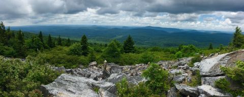 The Easy Trail In West Virginia That Will Take You To The Top Of The World