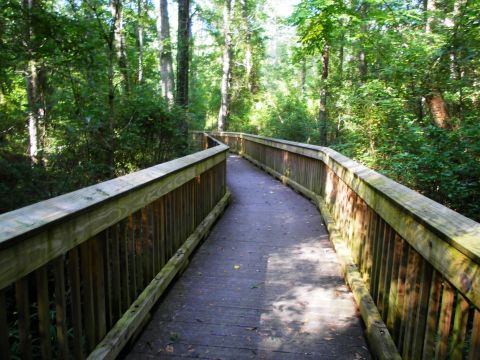 This Beautiful Boardwalk Trail In Virginia Is The Most Unique Hike Around