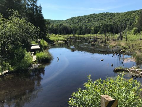 The Little-Known Trail In Michigan That's A Nature-Lover's Paradise