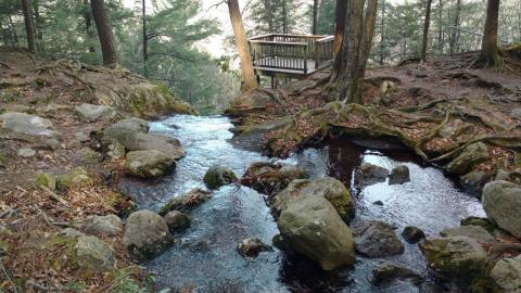 This Waterfall Staircase Hike May Be The Most Unique In All Of New Jersey