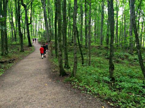 This Quaint Little Trail Is The Shortest And Sweetest Hike In Michigan