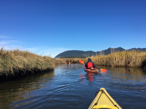 Take This Guided Kayak Tour In Oregon For An Unforgettable Experience