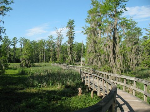 This Beautiful Boardwalk Trail In Georgia Is The Most Unique Hike Around