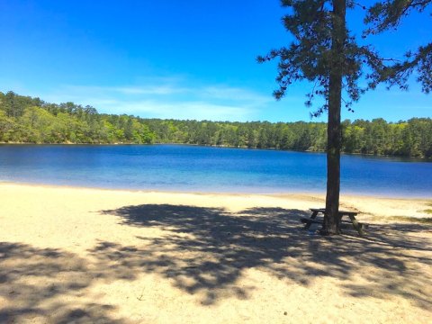 The Natural Swimming Hole In Massachusetts That Will Take You Back To The Good Ole Days