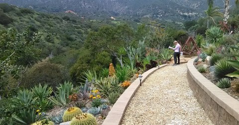 The Secret Garden Hike In Southern California Will Make You Feel Like You’re In A Fairytale