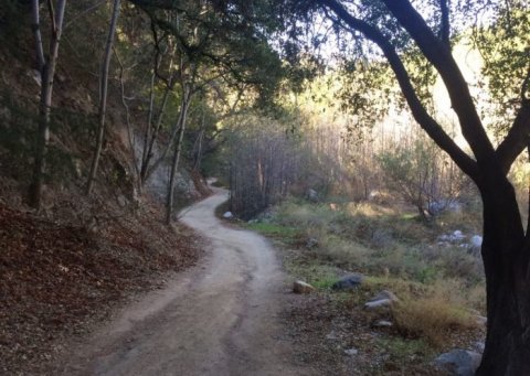 The Waterfall Trail Tucked Inside An Enchanted Forest Is One Of Southern California's Hidden Treasures