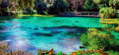 You'll Never Forgive Yourself If You Don't Take A Dip In This Incredible Fresh Water Spring At Least Once