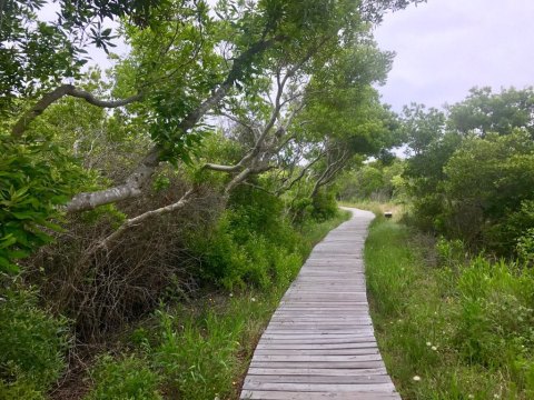 The Hike To This Secluded Beach In Virginia Is Positively Amazing