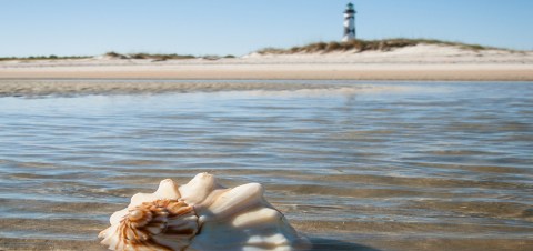 The One Of A Kind Ferry Boat Adventure You Can Take In North Carolina