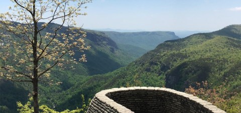 The Easy Trail In North Carolina That Will Take You To The Top Of The World