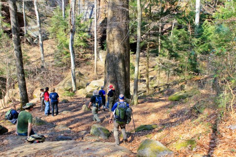 Explore Alabama's Best Hiking Trails Within This Fantastic Forest