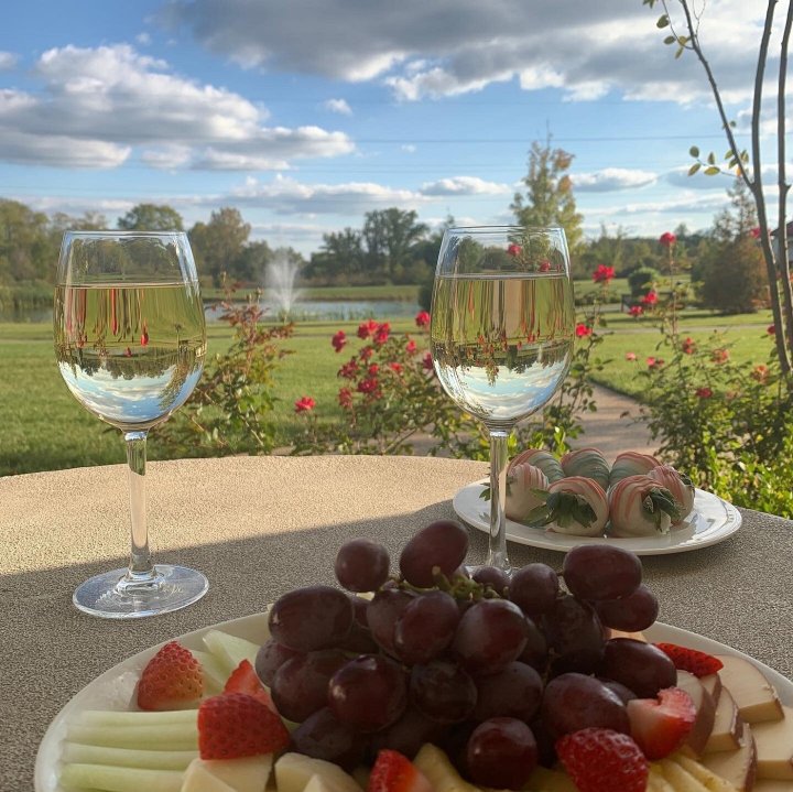 vineyard near cleveland