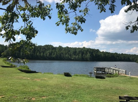 7 Lesser-Known State Parks In South Carolina That Will Absolutely Amaze You