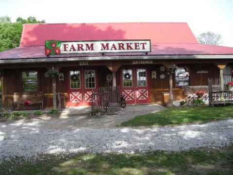 The Quaint Country Farm Near Pittsburgh Where You Can Pick Your Own Fruit All Summer Long