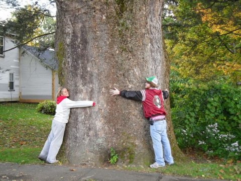 Take This Quirky Road Trip To Visit Massachusetts’ Most Unique Roadside Attractions