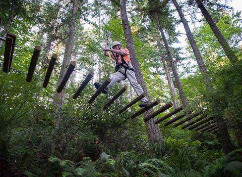 The Treetop Trail That Will Show You A Side Of Washington You've Never Seen Before