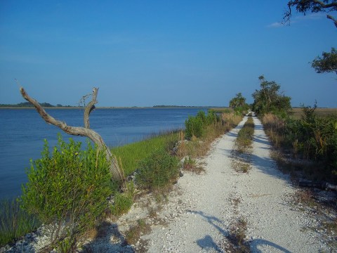 The Historic Waterfront Trail In Georgia That Is An Adventurer's Dream