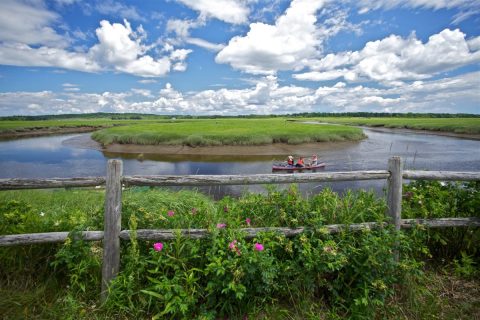 There's An Incredible Marsh Hiding In Maine And It's The Perfect Spot For A Day Trip