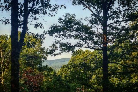 The Easy Trail In Louisiana That Will Take You To The Top Of The World