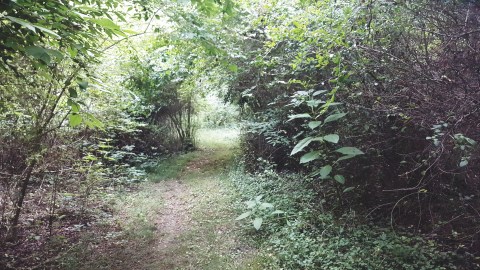 The Secret Garden Hike In Arkansas Will Make You Feel Like You’re In A Fairytale