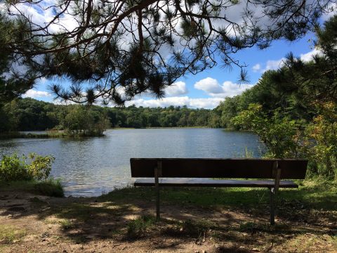 This 2-Mile Hike In Wisconsin Leads To The Dreamiest Swimming Hole