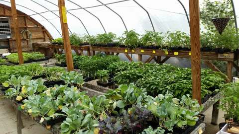 A Trip To This Gigantic Indoor Farmers Market in West Virginia Will Make Your Weekend Complete