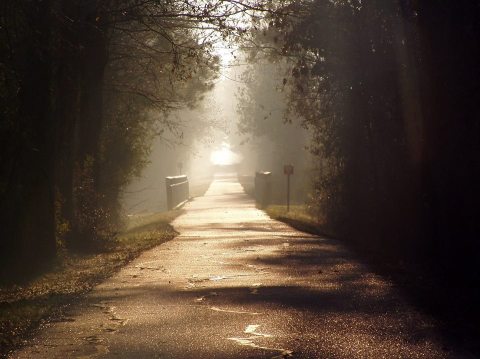 This Rail Trail Near New Orleans Is Perfect For A Summer Adventure