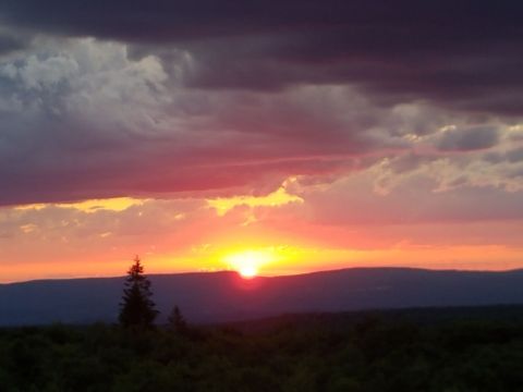 The Easy Trail In Pennsylvania That Will Take You To The Top Of The World