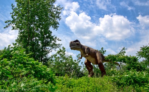 Most People Have No Idea This Unique Park In New Jersey Exists