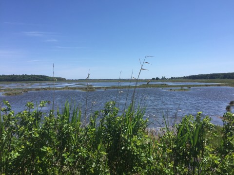 The Magnificent Maine Trail That Will Lead You On An Unforgettable Wildlife Adventure